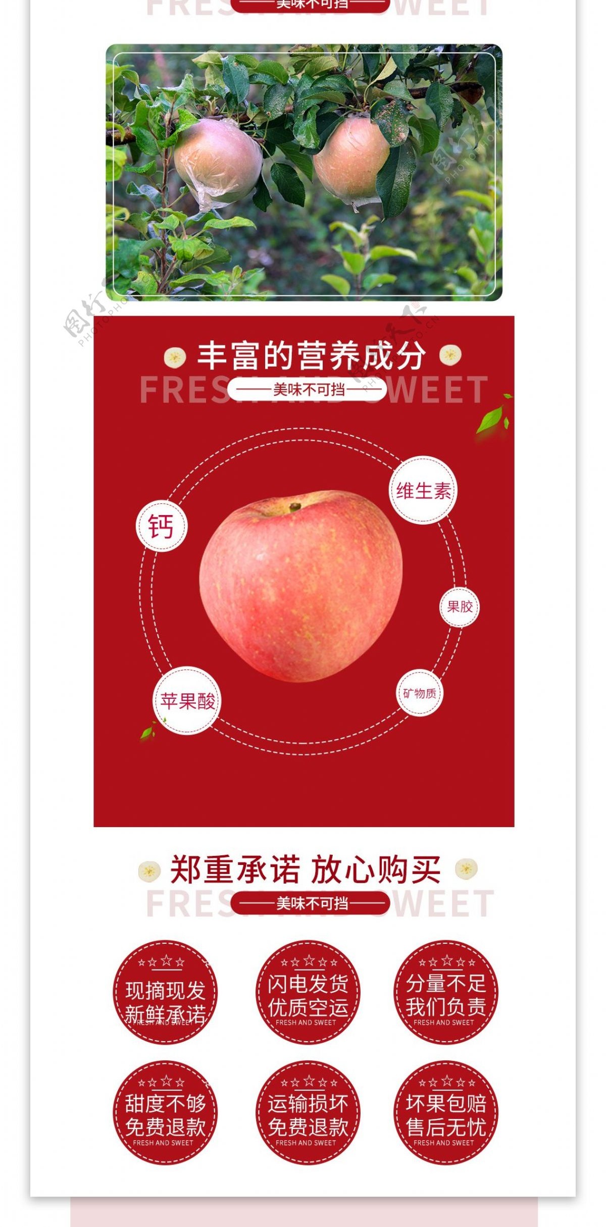 简约风红色苹果水果详情清新促销电商模板