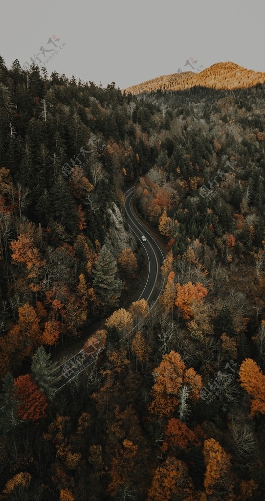 山林与公路