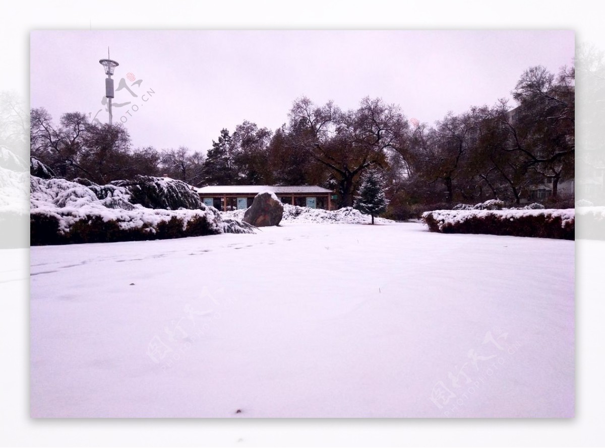 龙沙公园初冬雪景