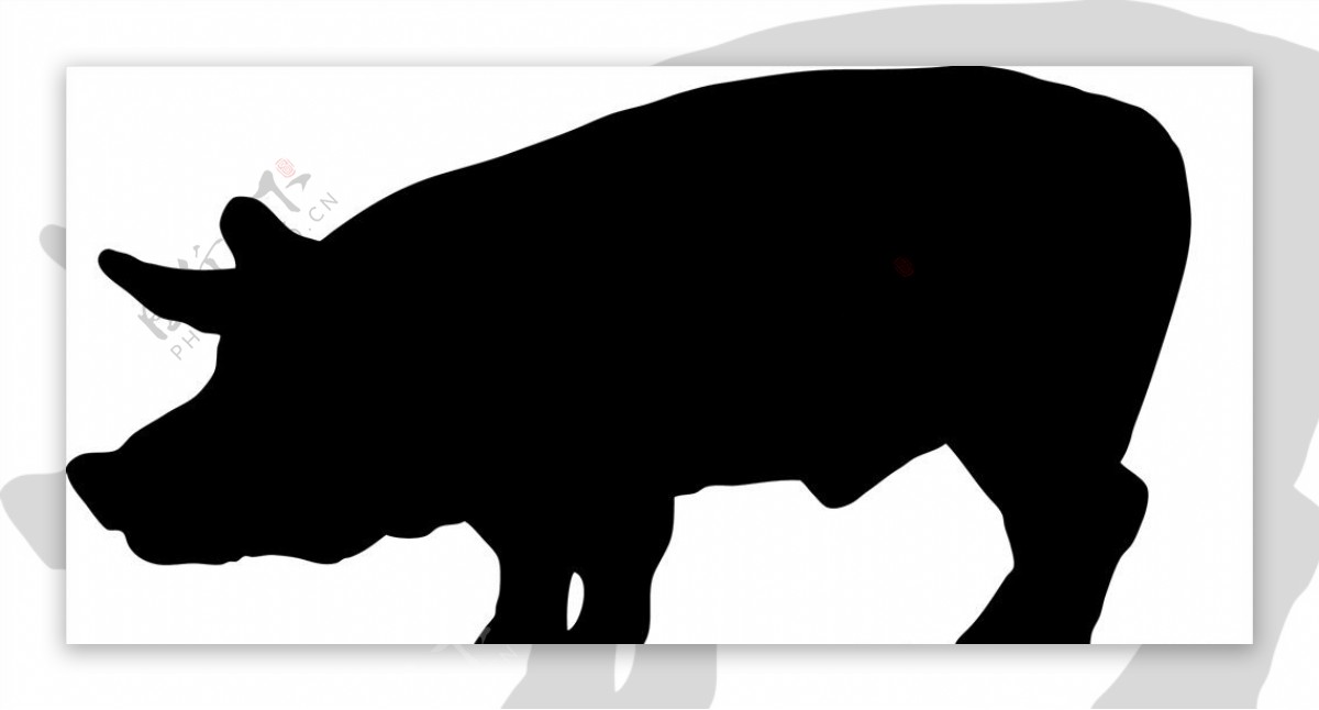 野生动物系列猪野猪矢量图