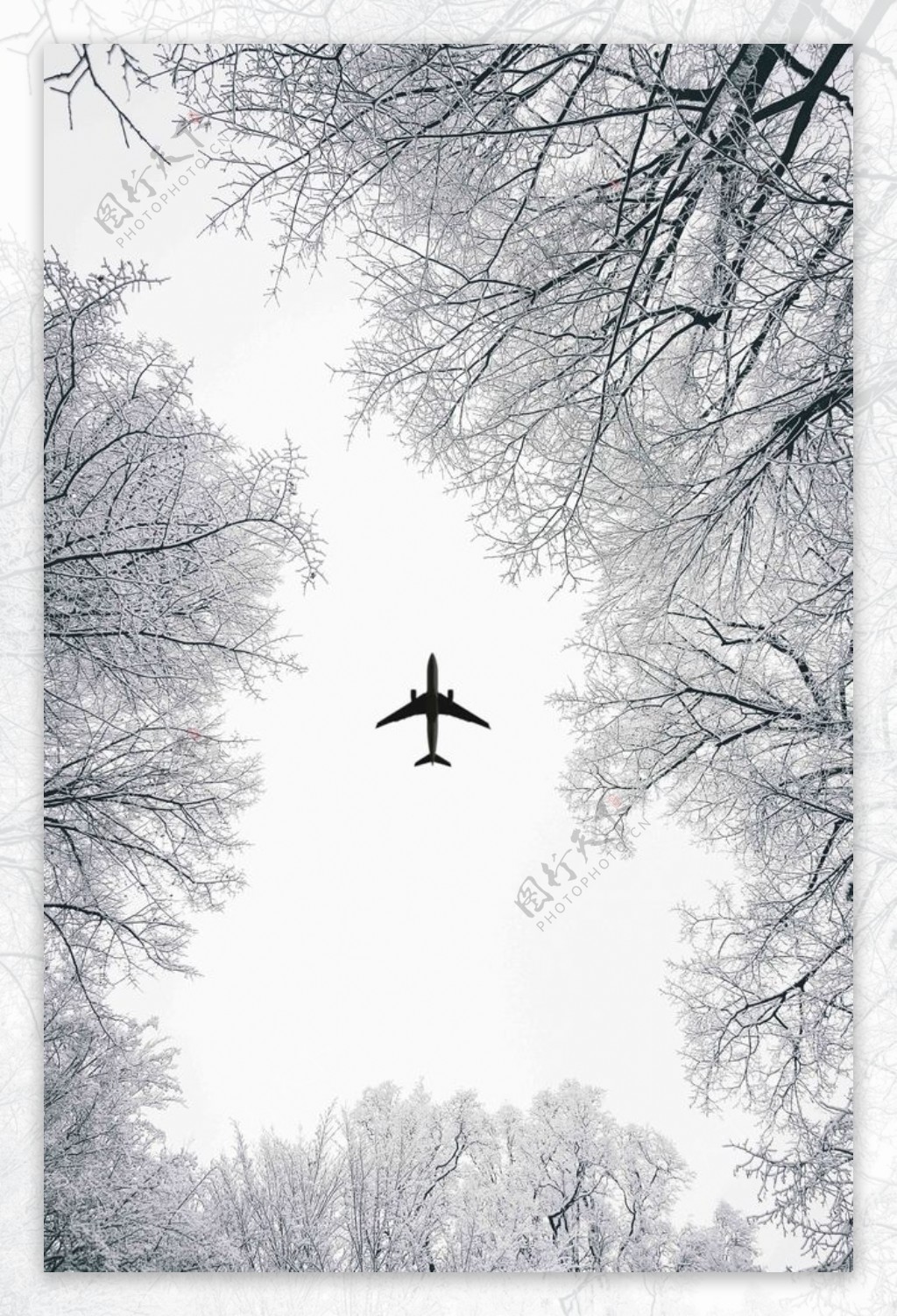 飞机雪树林