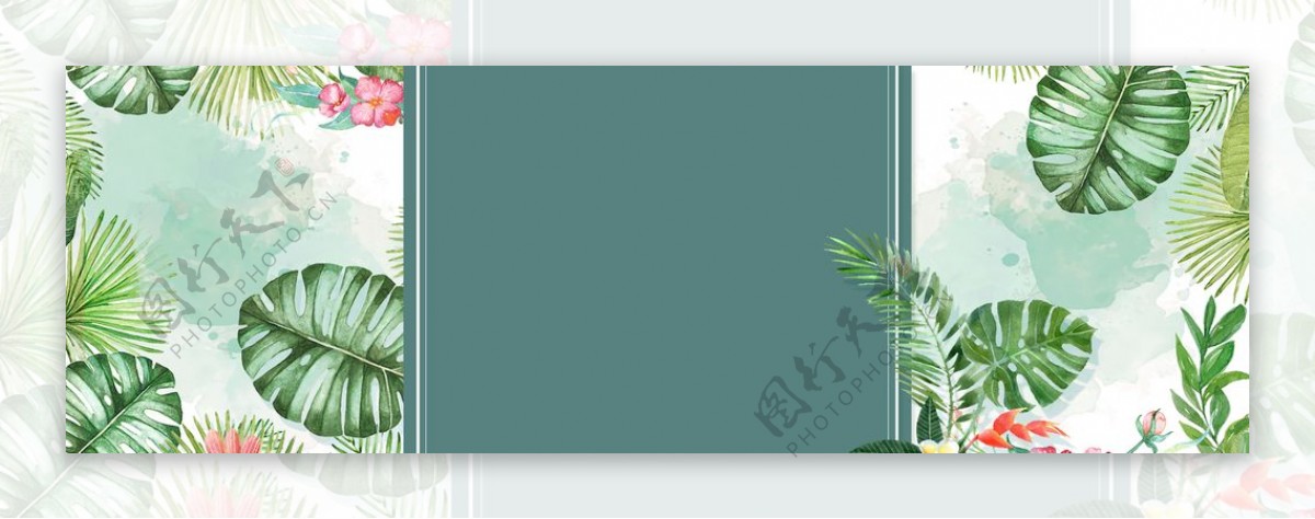 夏季植物促销海报banner