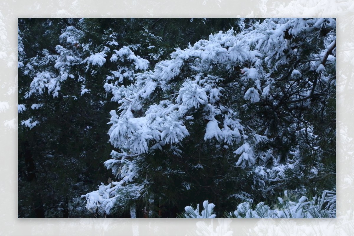 冬日初雪