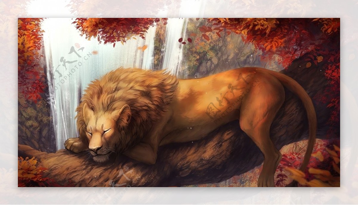 彩色狮子动物插画背景