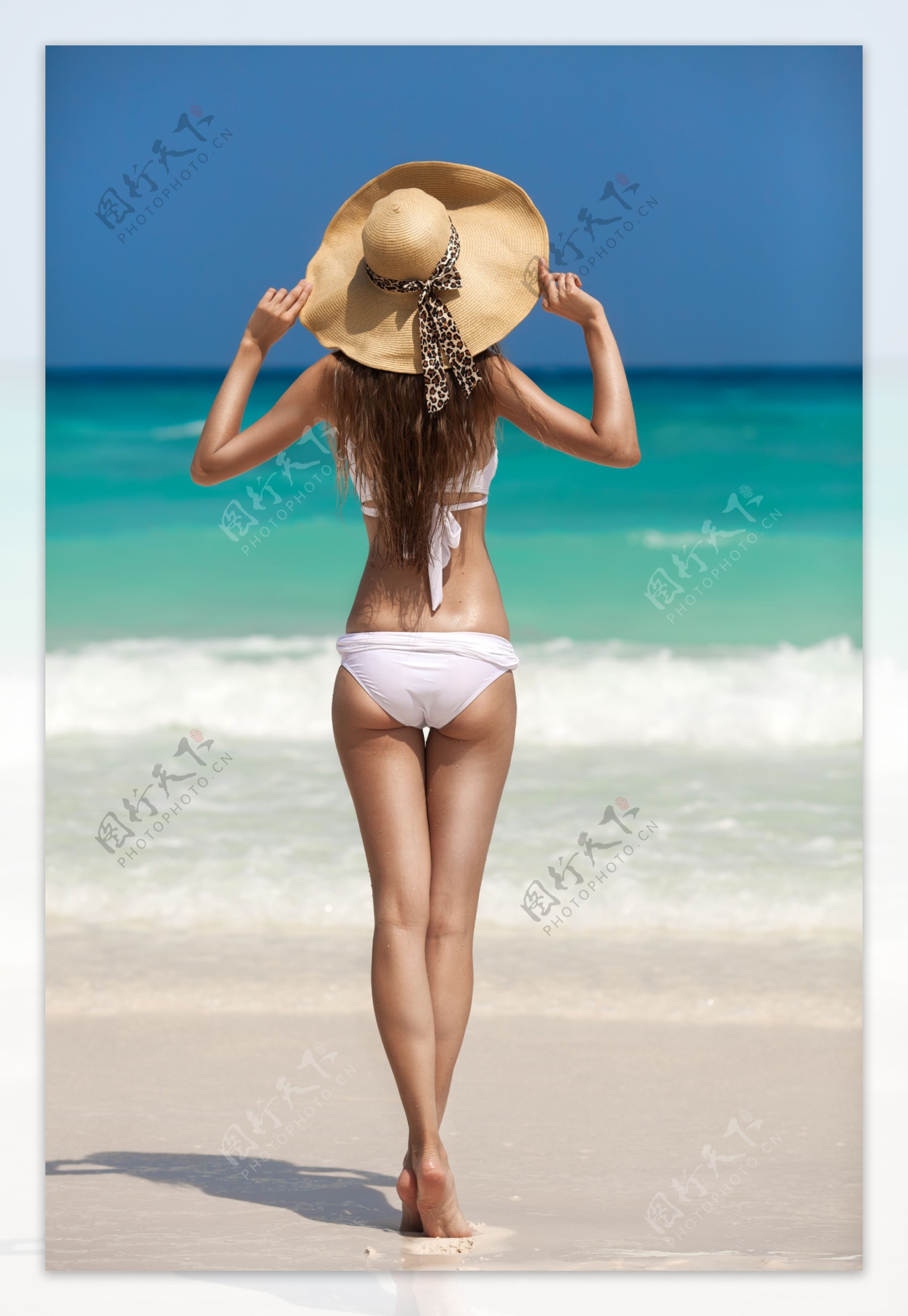 沙滩美女背影图