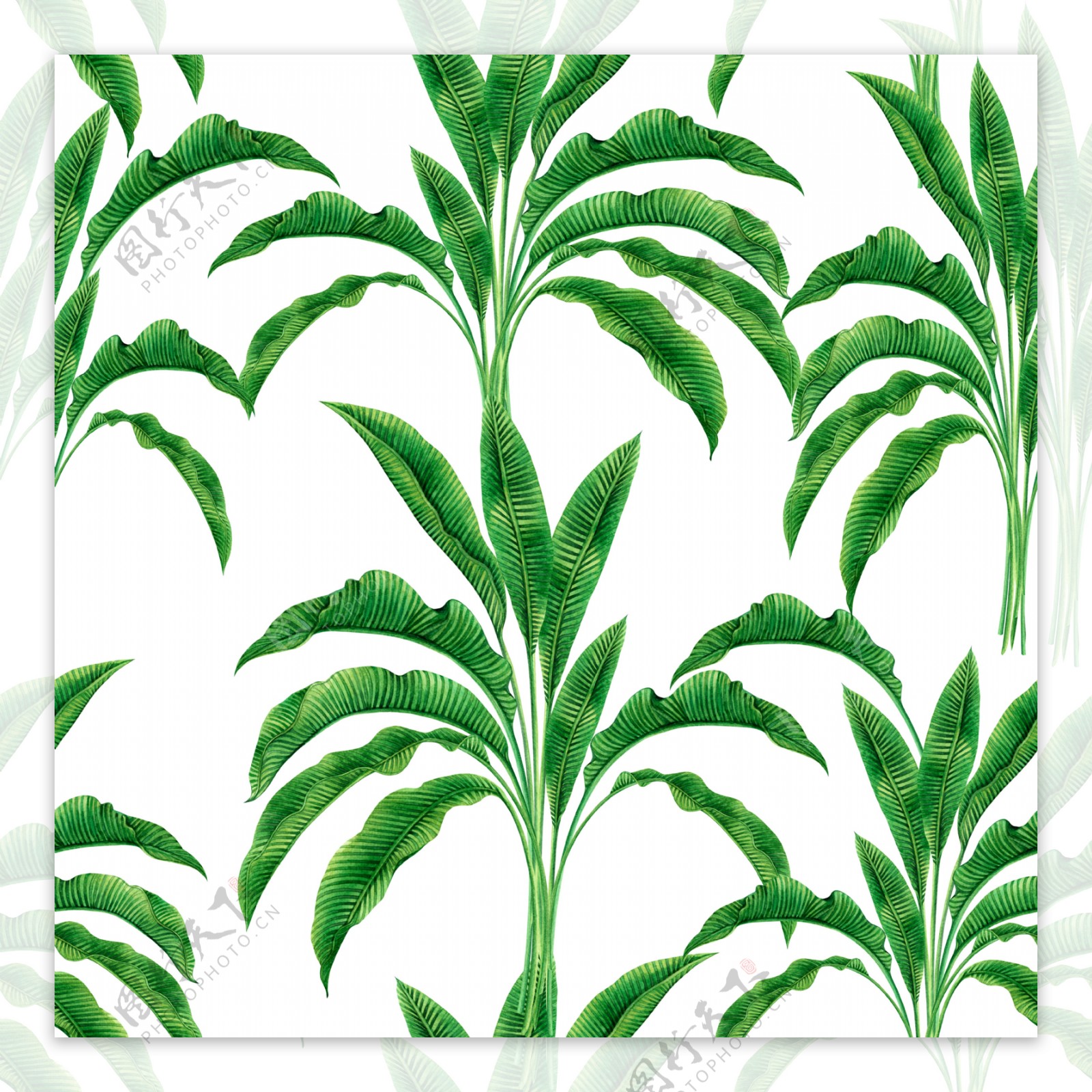 热带植物数码印花图案