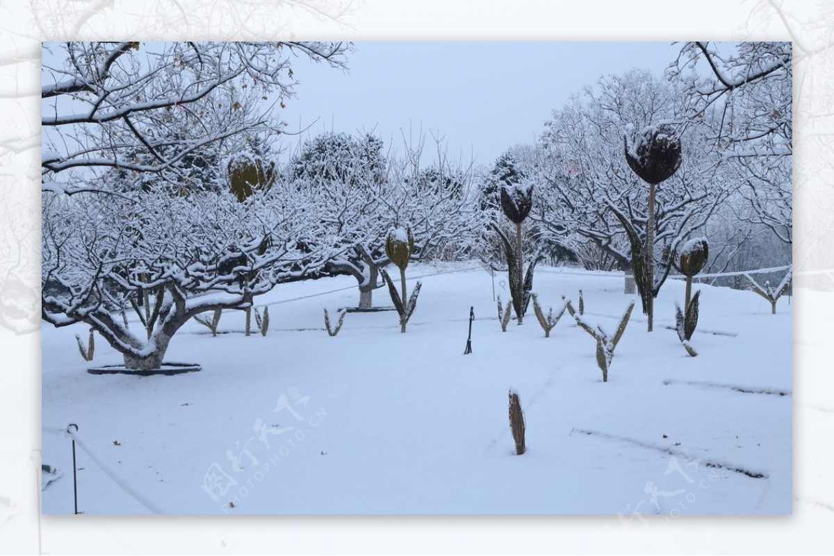 冬雪地景