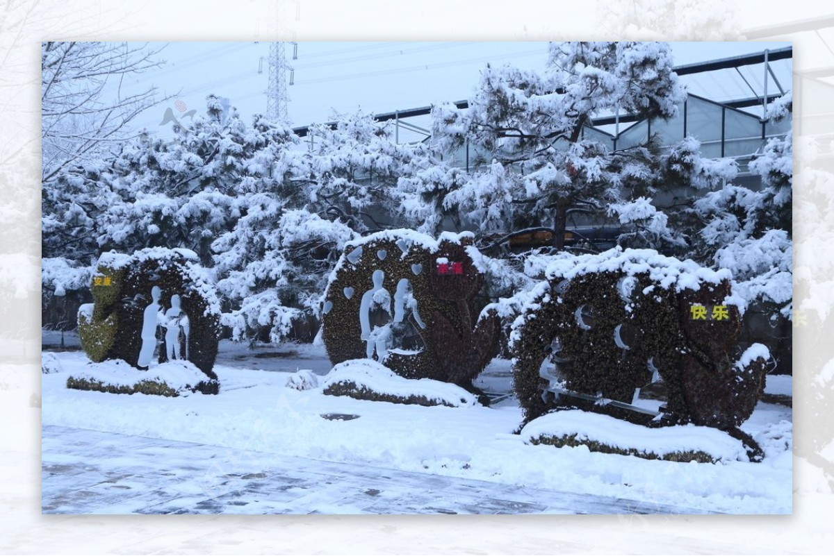 冬雪地景