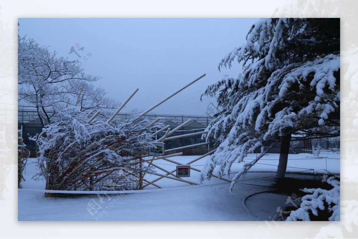 冬雪地景