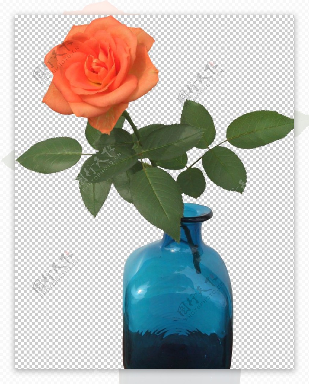 花瓶插花