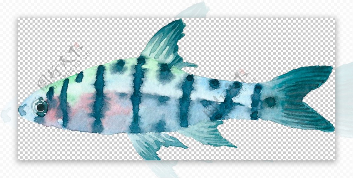 手绘水彩蓝色深海鱼