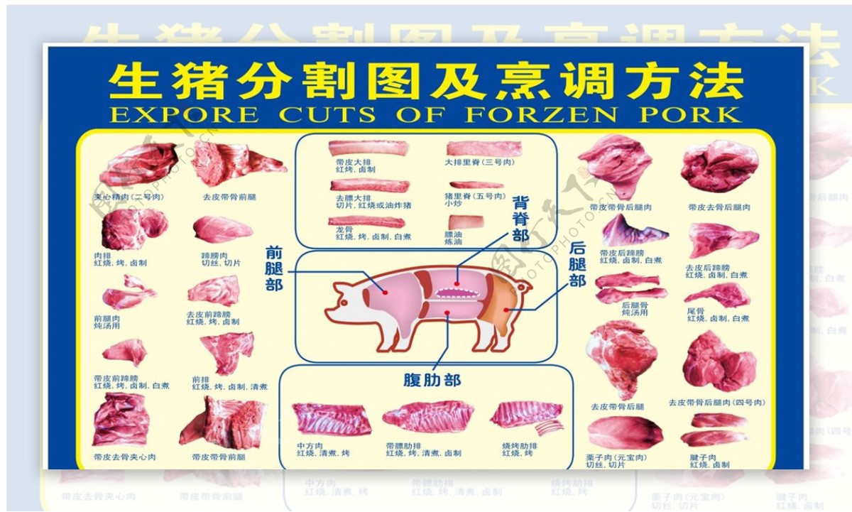 生猪肉分割图