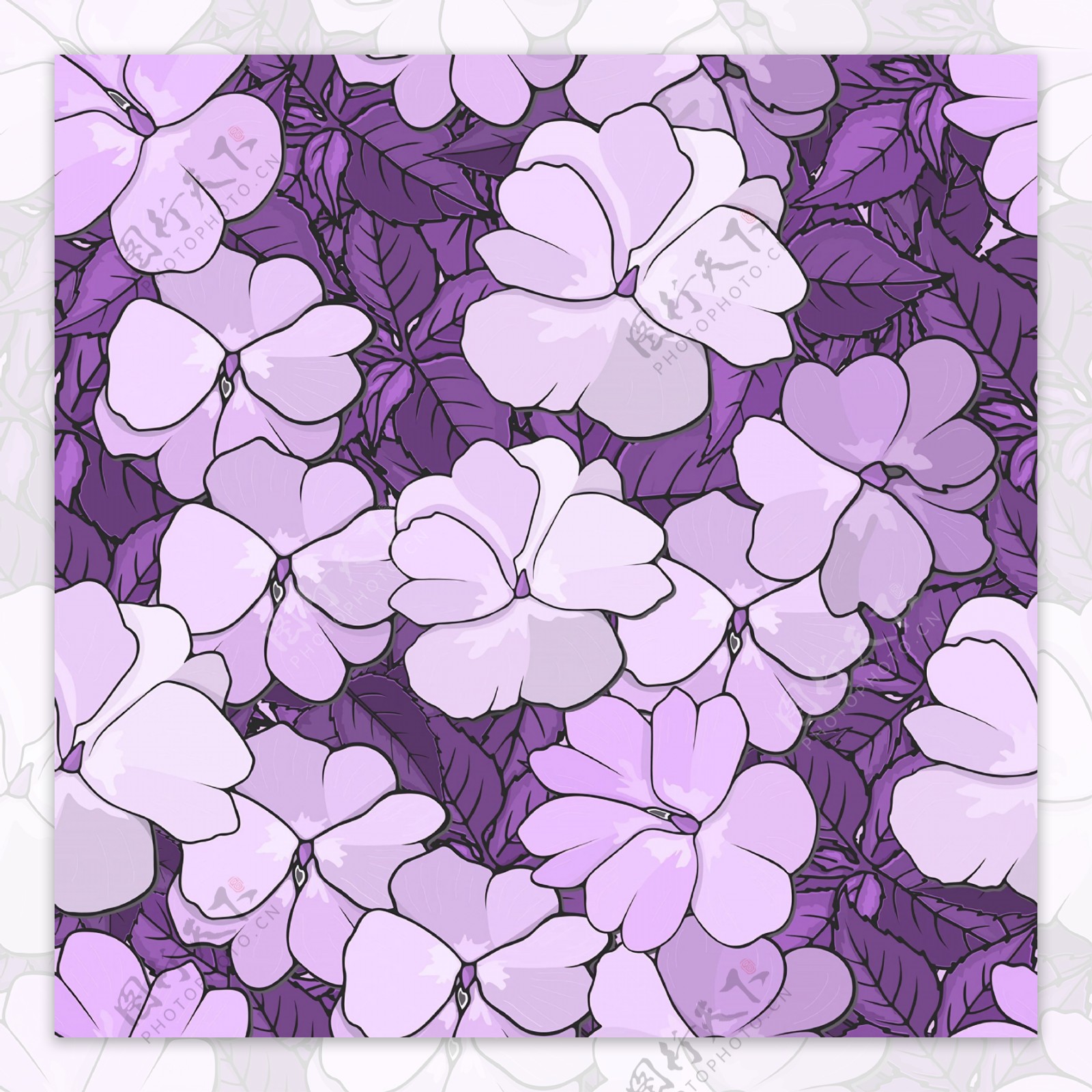 紫色循环花叶子