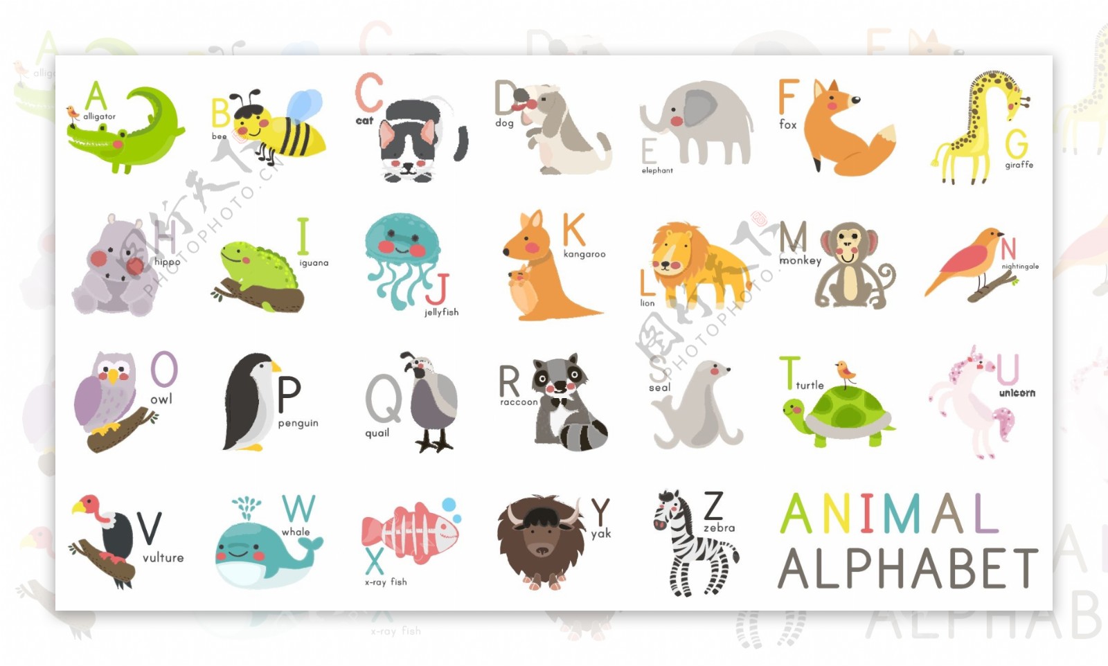 动物字母