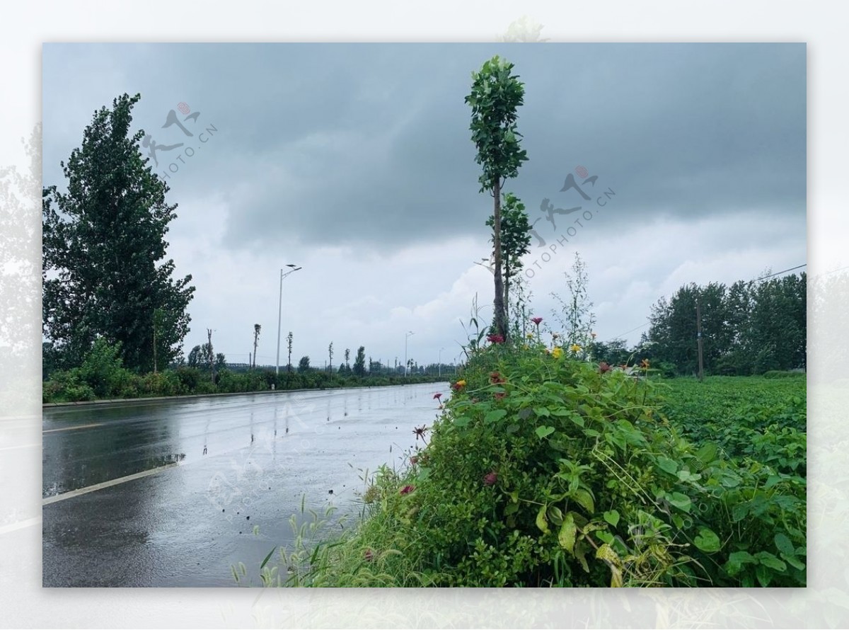 暴风雨