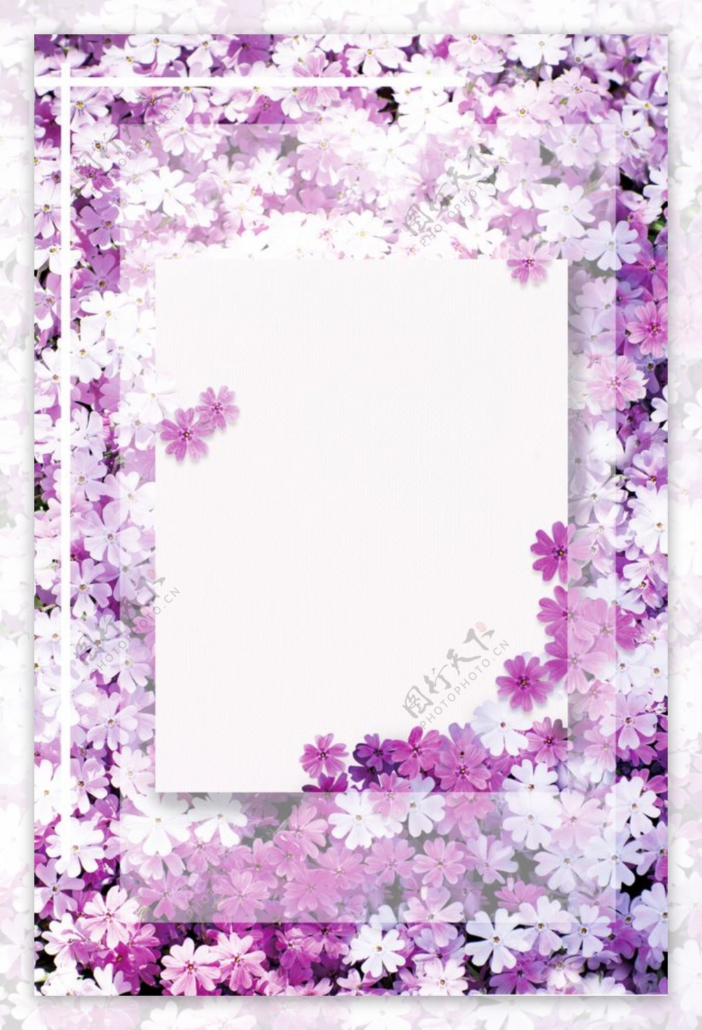 紫色花艺边框背景