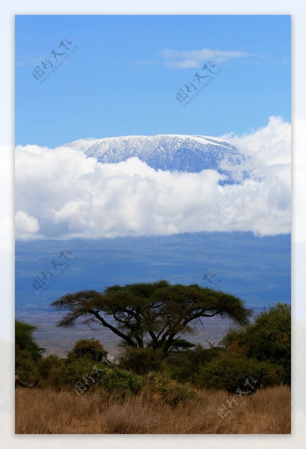 坦桑尼亚乞力马扎罗山风景摄影