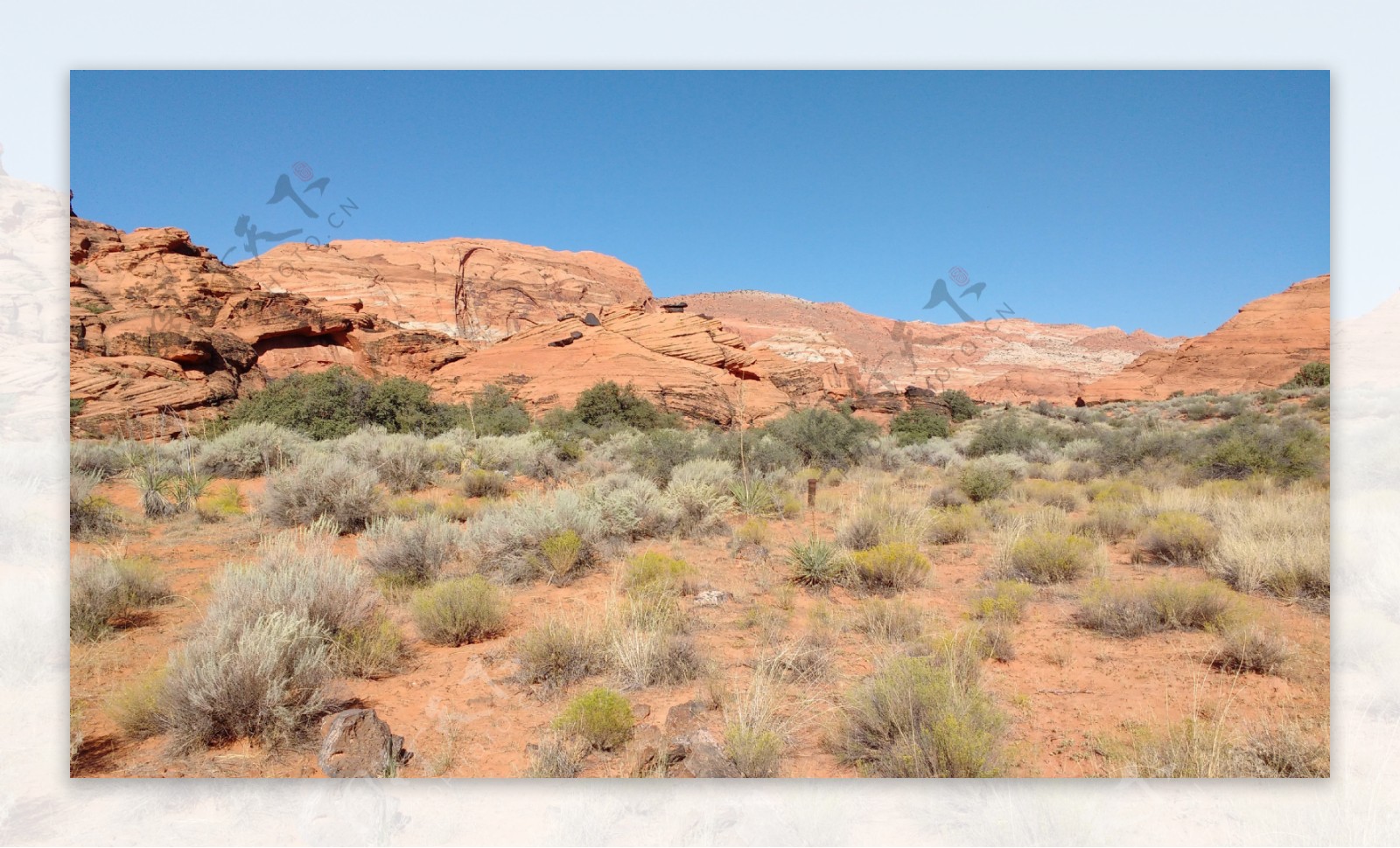 犹他州南部沙漠红色的岩石