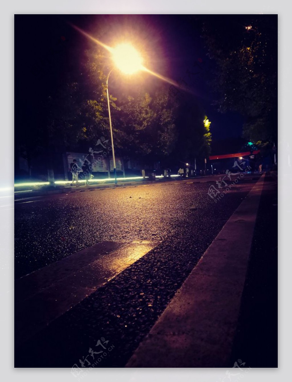 晚上的校园街道