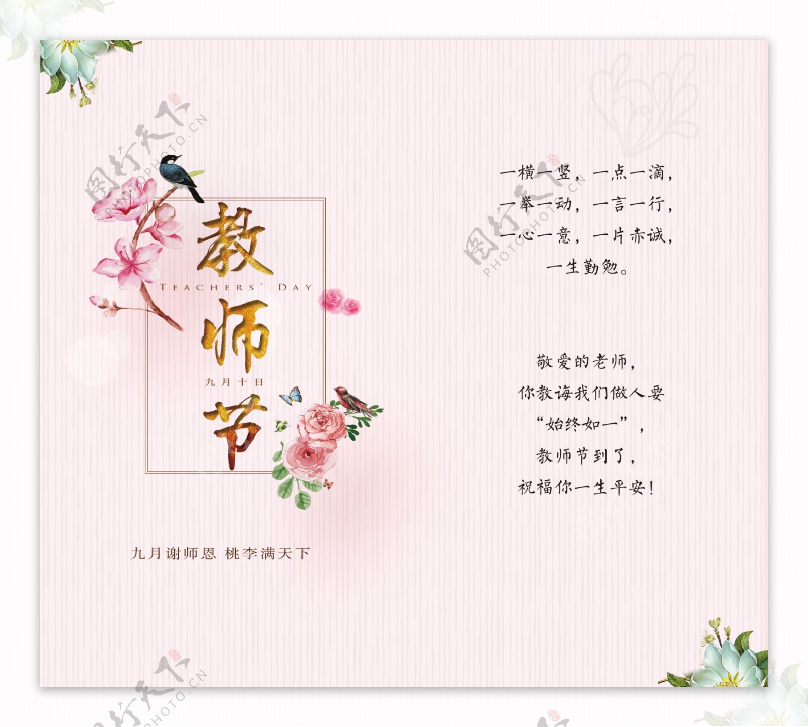 教师节