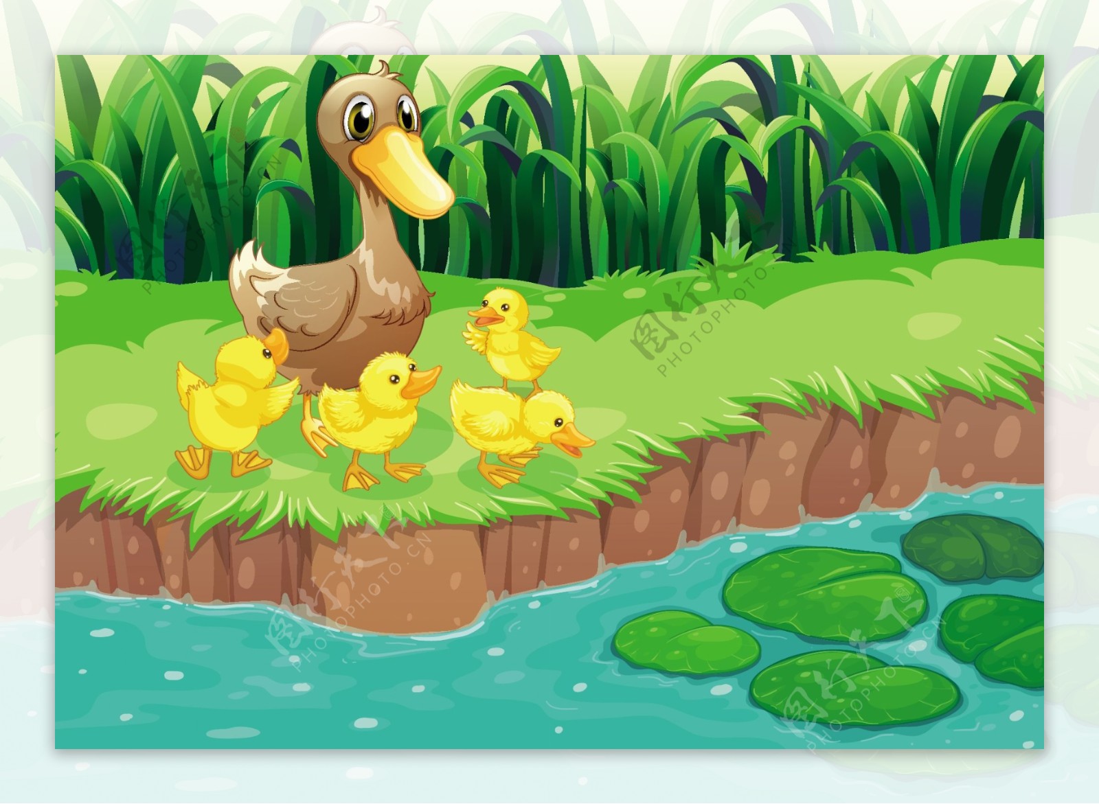 池塘里可爱的小鸭子图片桌面壁纸 -桌面天下（Desktx.com）