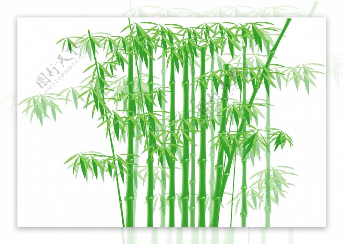 水墨绿色竹子插画图片素材-编号31313536-图行天下