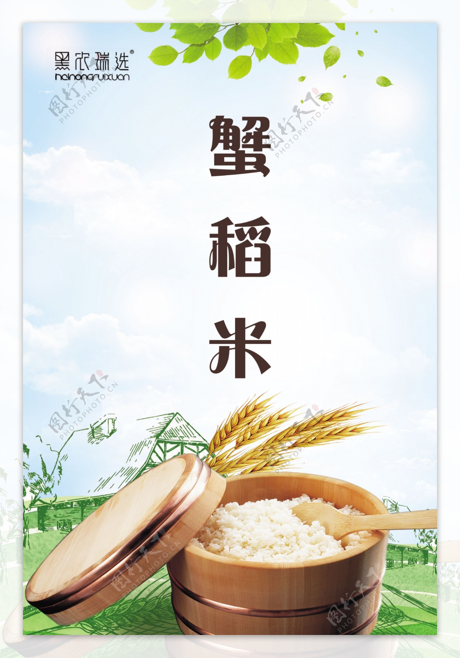 蟹稻米