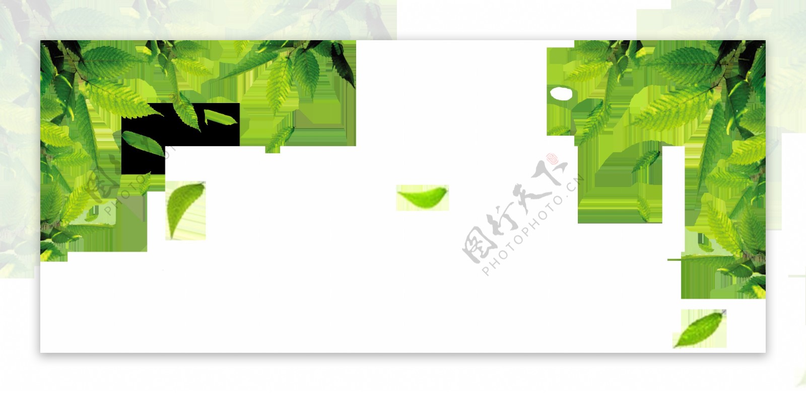绿色树叶png装饰背景图