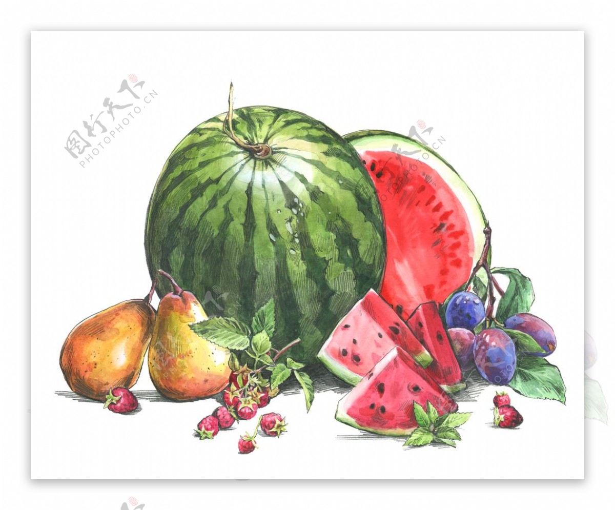水果西瓜绘画