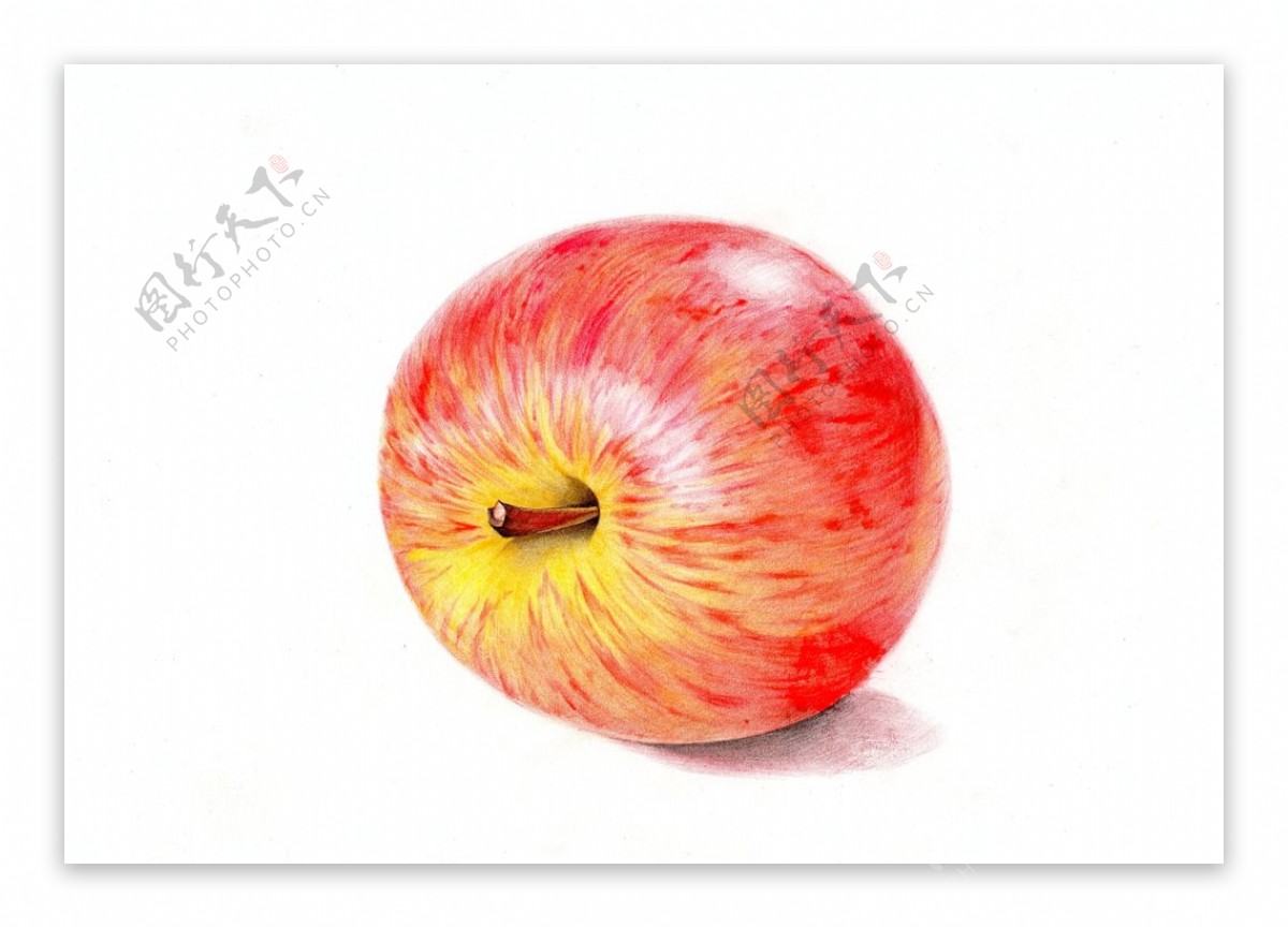 彩铅苹果绘画