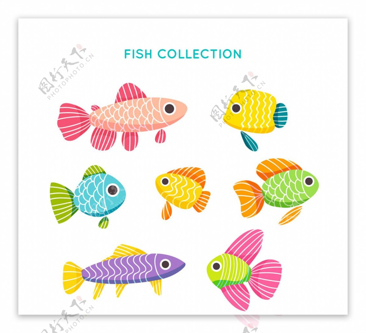 彩色花纹鱼类设计矢量素材