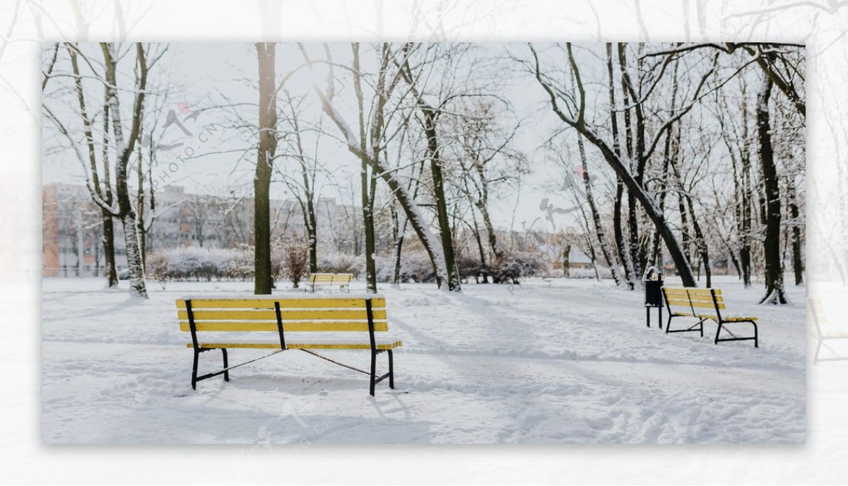 雪景公园雪景唯美