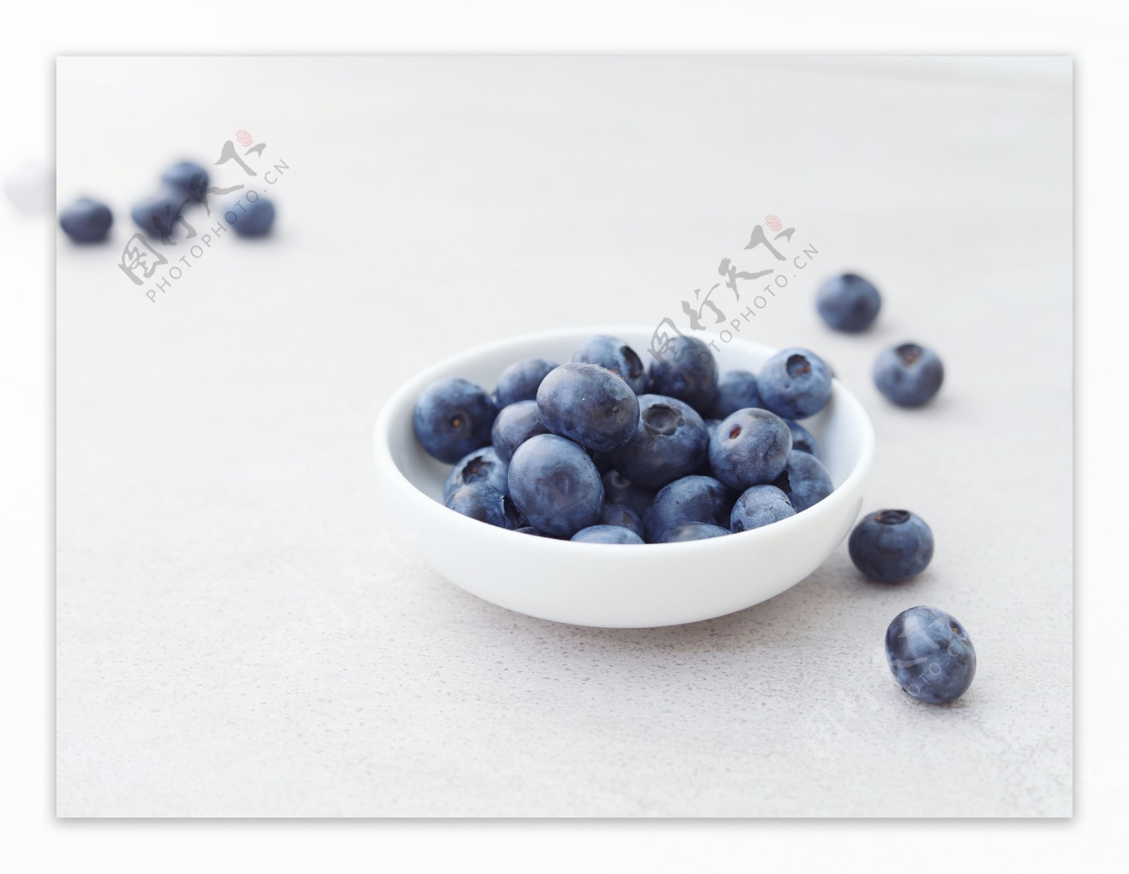 蓝莓Blueberry