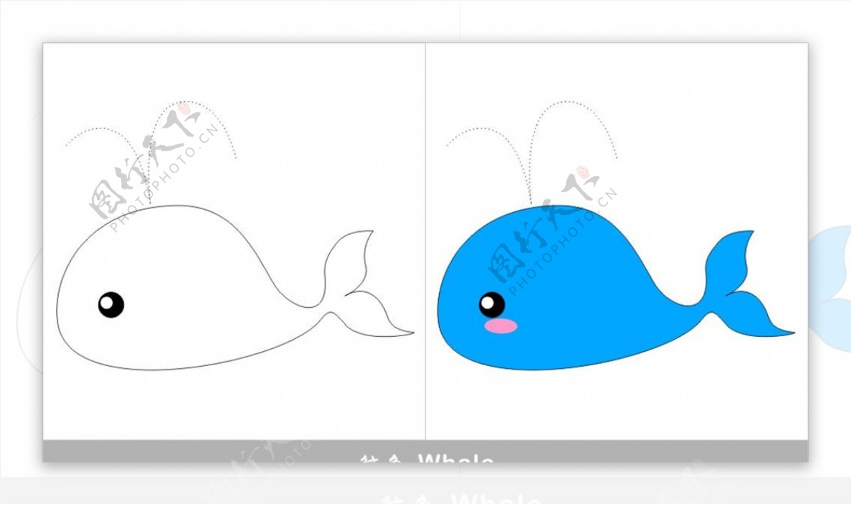 鲸鱼简笔画