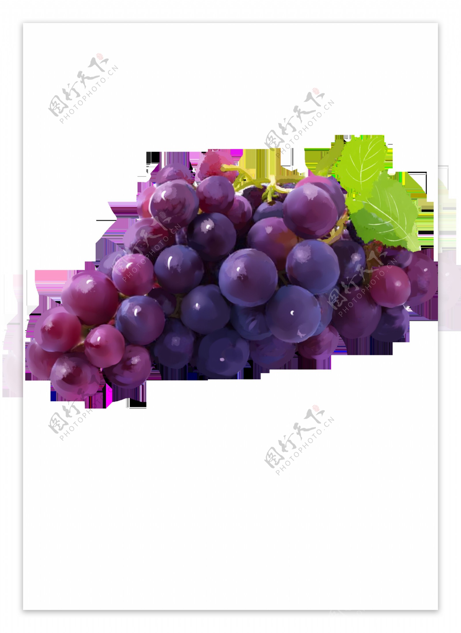 葡萄水果新鲜提子饮品海报素材