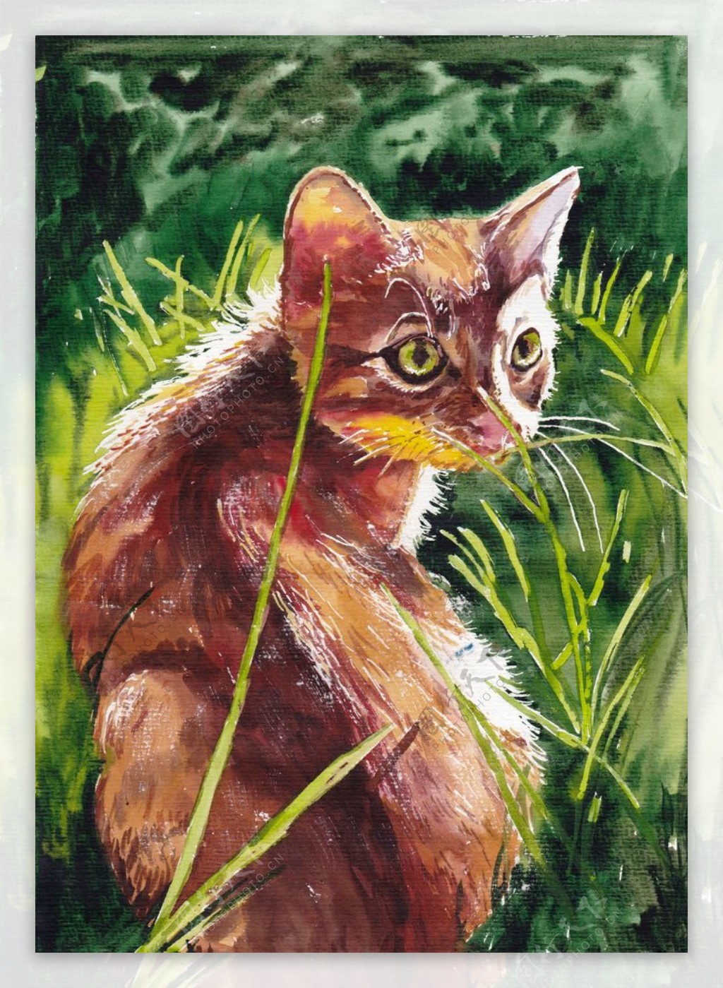 动物猫咪油画