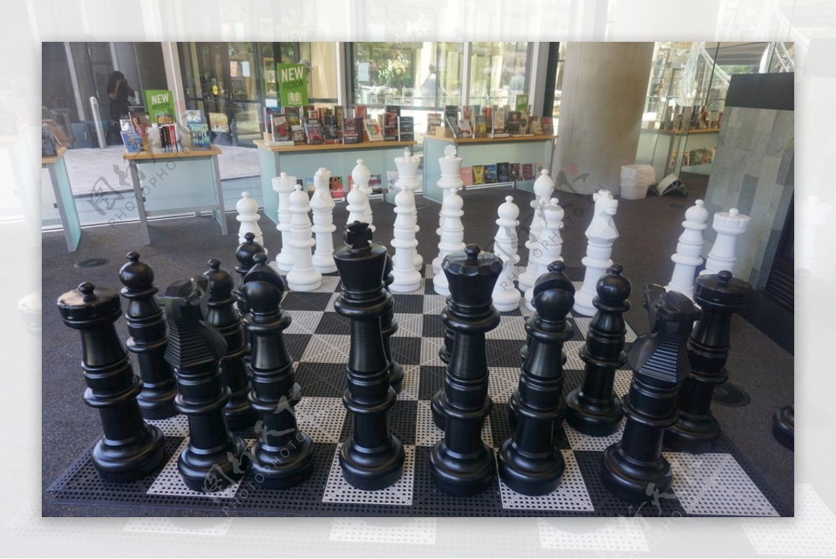 国际象棋意向图