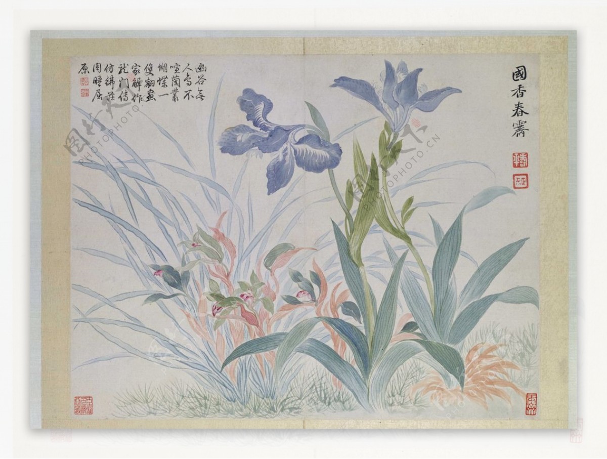 清代恽寿平花草绘画