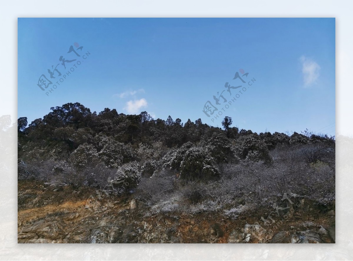 雪后风景