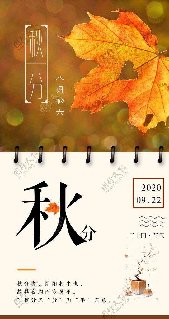 清新文艺二十四节气秋分传统海报