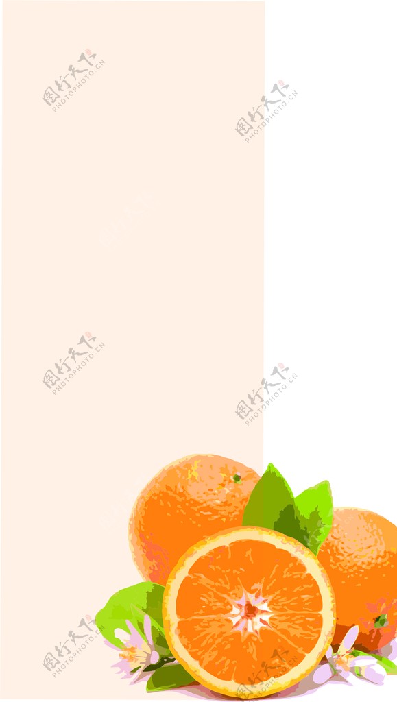 橙子味