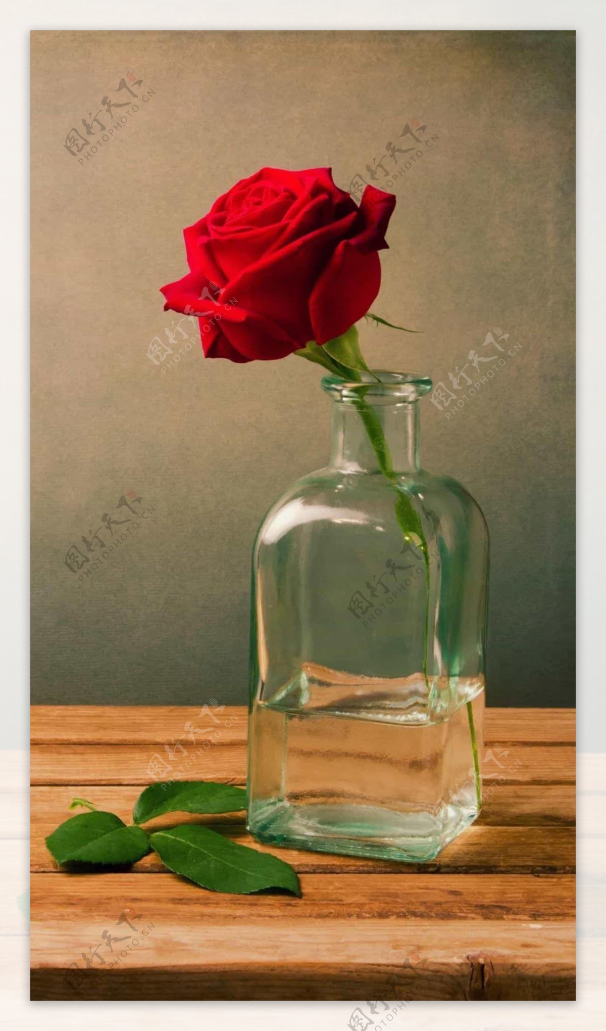 美丽的红玫瑰插花