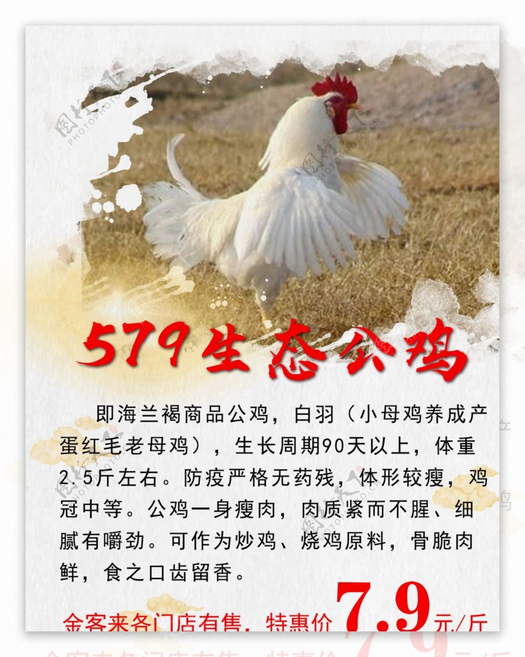 生态公鸡宣传促销海报