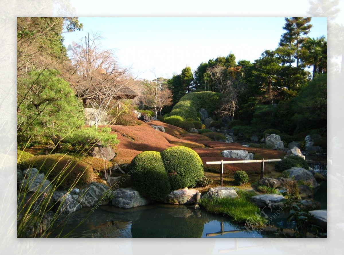 庭院