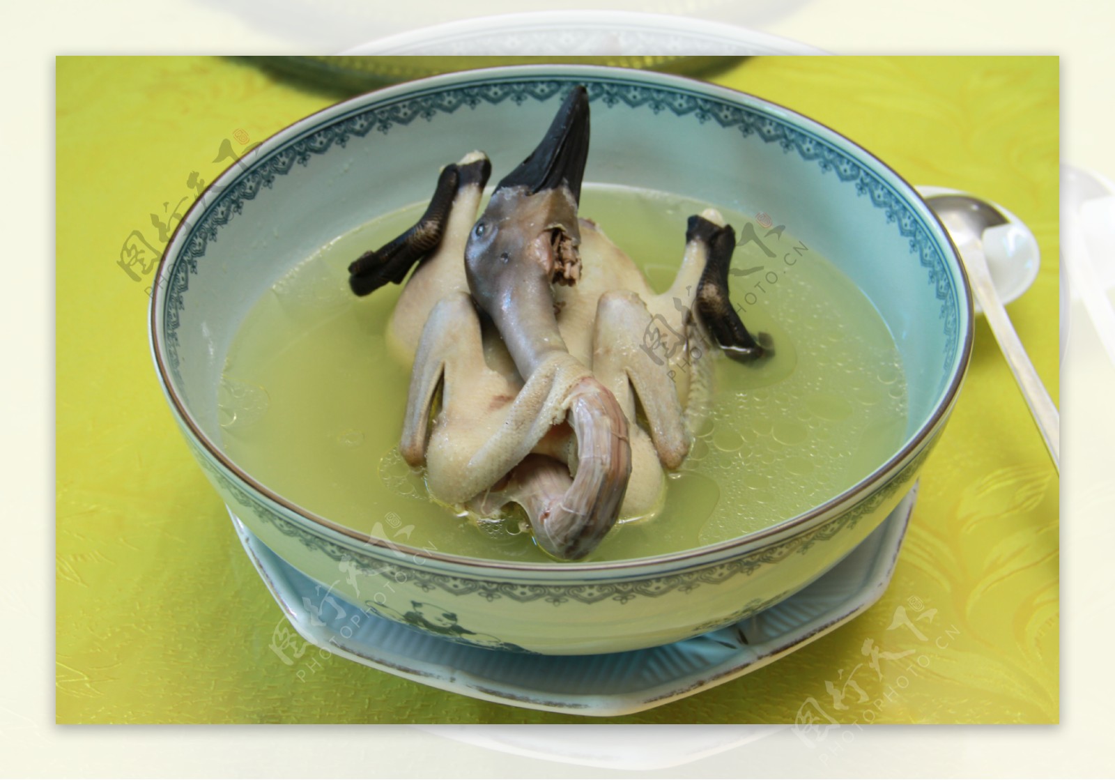 白鸭汤