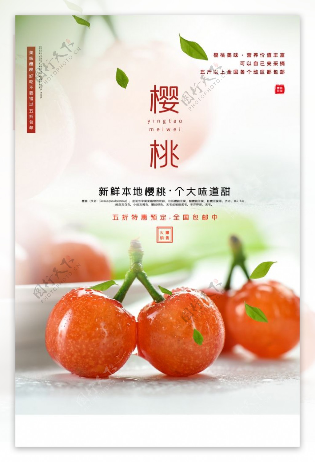 樱桃水果活动促销宣传海报