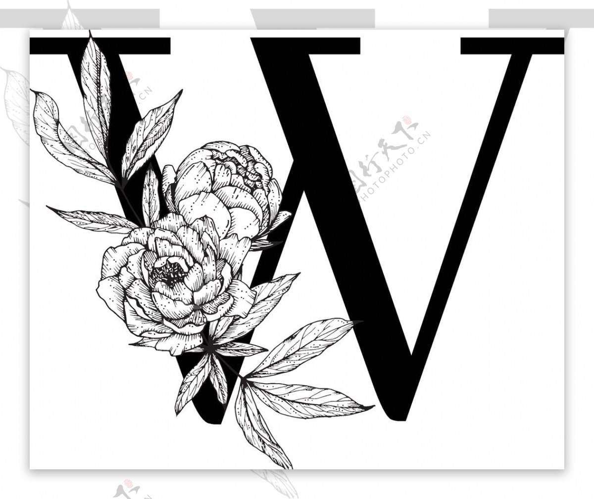 花卉装饰字母字母W
