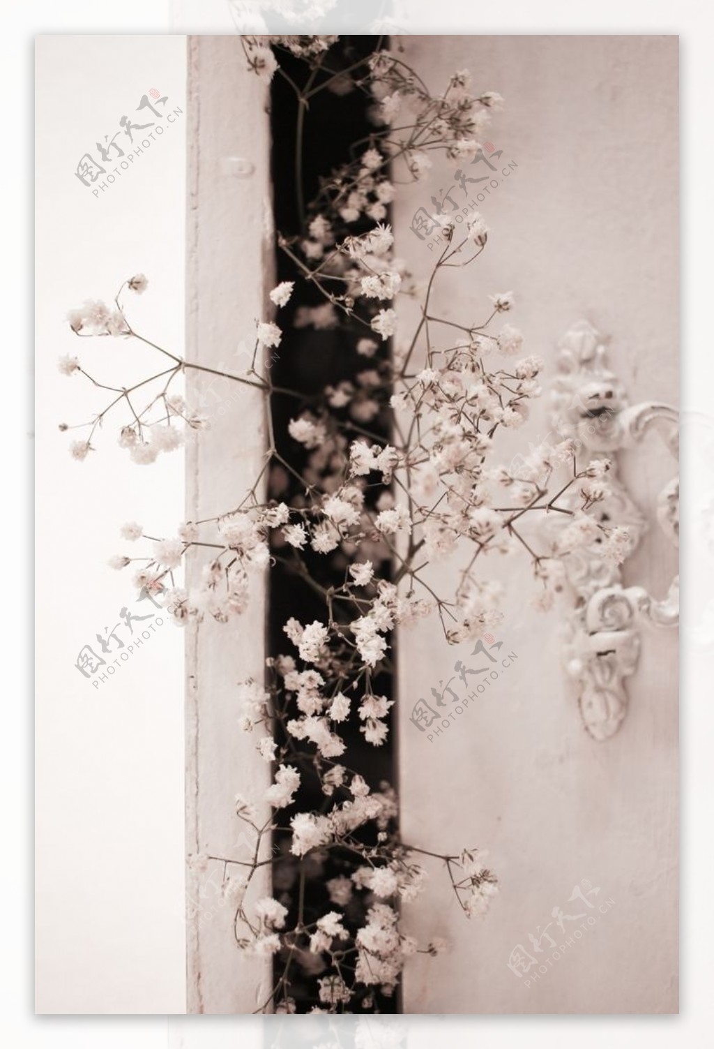 花朵花枝墙壁艺术背景素材
