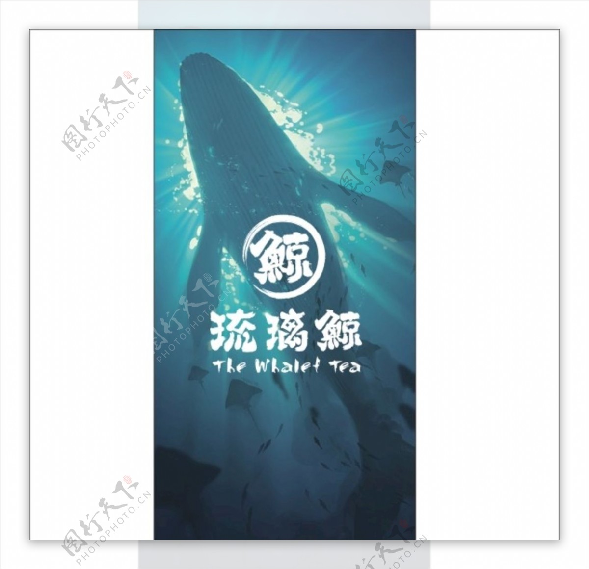 琉璃鲸海报
