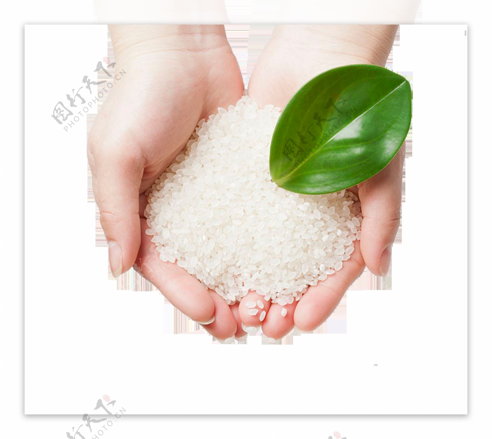 大米粮食食物节约海报素材